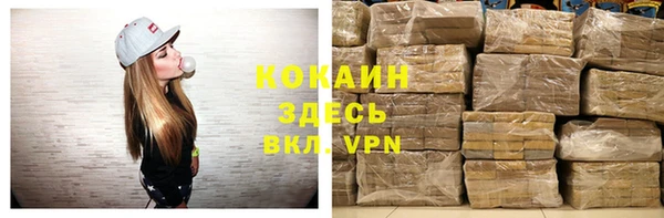 Альфа ПВП Няндома