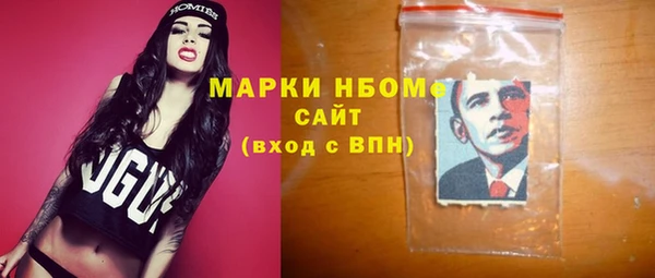 Альфа ПВП Няндома