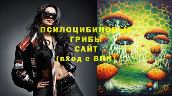 Альфа ПВП Няндома
