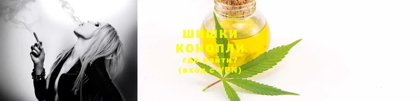 трава Белая Холуница