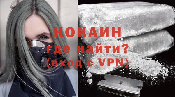 Альфа ПВП Няндома