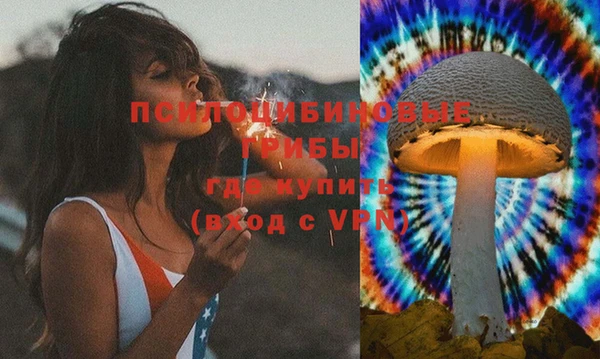 Альфа ПВП Няндома