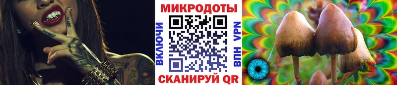 Псилоцибиновые грибы GOLDEN TEACHER  Цоци-Юрт 